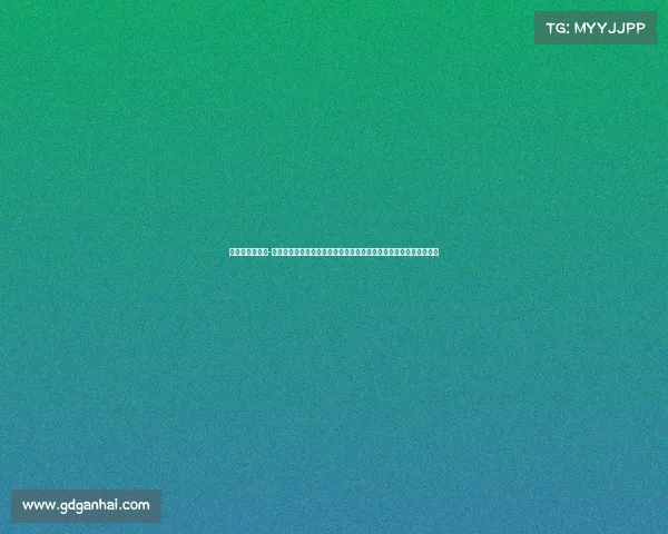 上海上港的主场-上海上港主场赛事激情燃烧申城足球之夜璀璨上演球迷共聚绿茵梦想