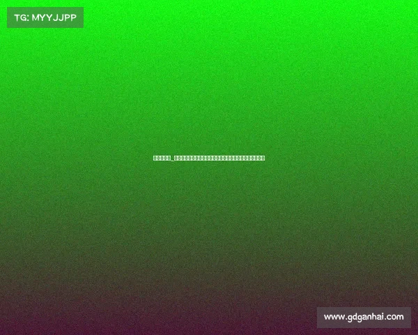 休斯敦赛程_休斯敦年度重大赛事全面盘点马拉松篮球文化热点精彩纷呈