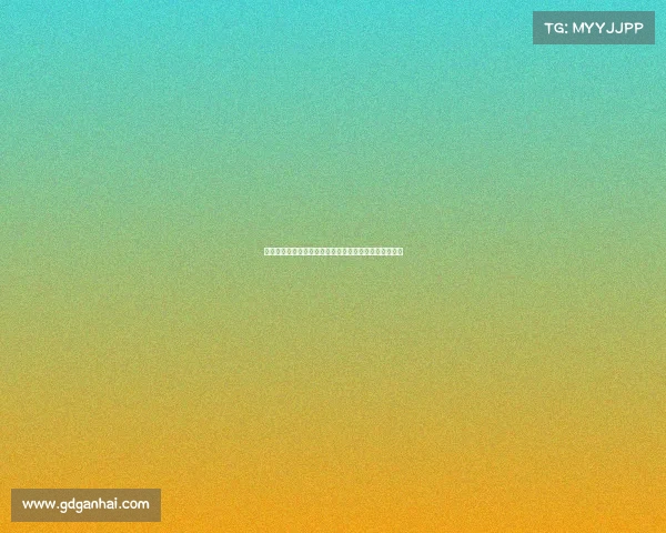 全球瞩目综合格斗大赛赞助盛宴，品牌联手共创辉煌未来