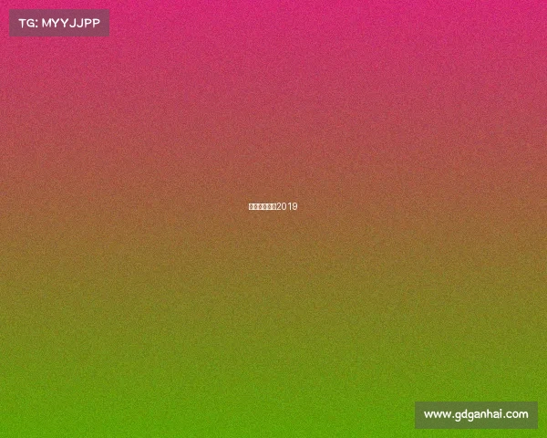 朱婷比赛视频2019