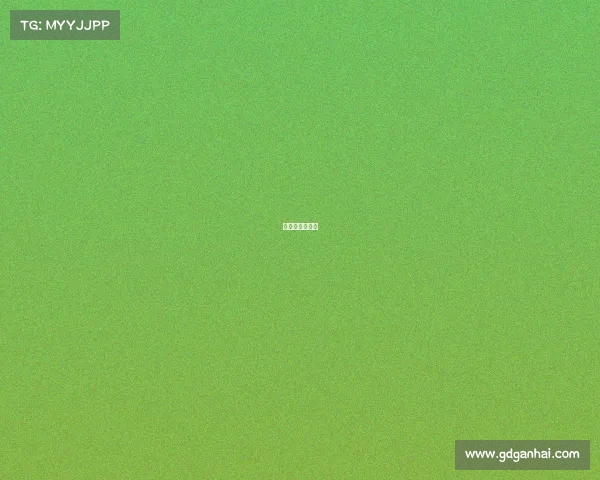 武林风比赛回放 武林风比赛回放