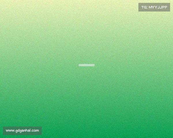 美国赛马赛事美国赛马场