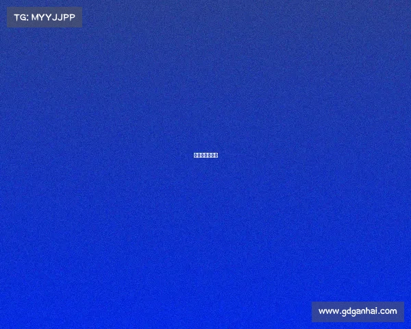 马拉松赛事安排